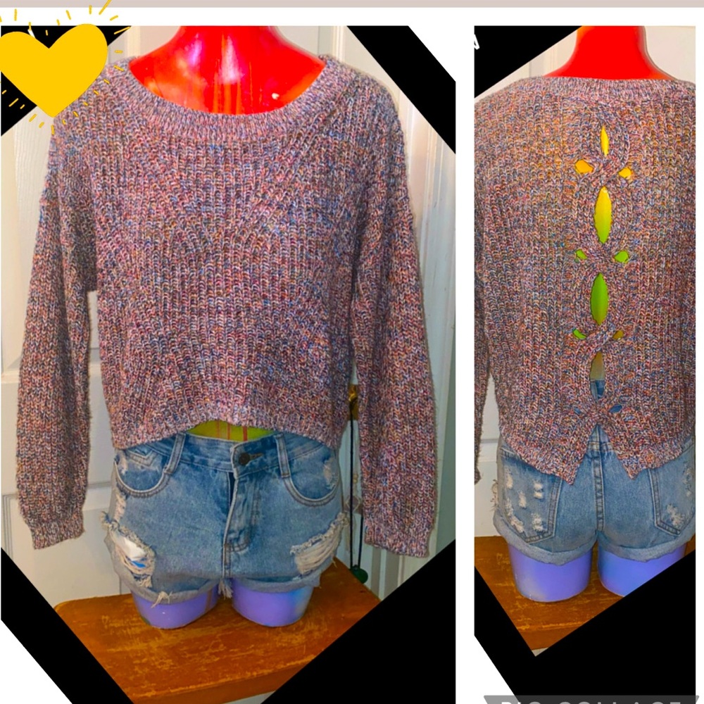 Express Multicolor Knit Sweater with Back Detail